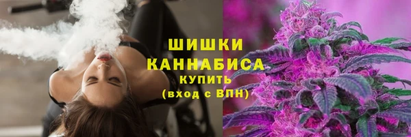 стаф Иннополис