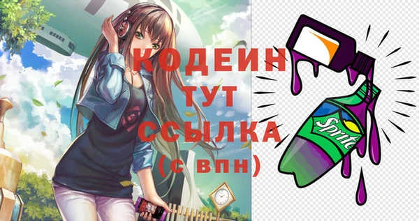 2c-b Инсар