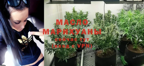 2c-b Инсар