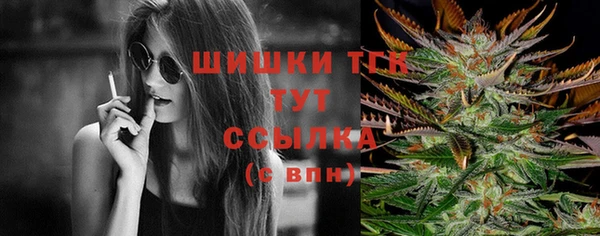 2c-b Инсар