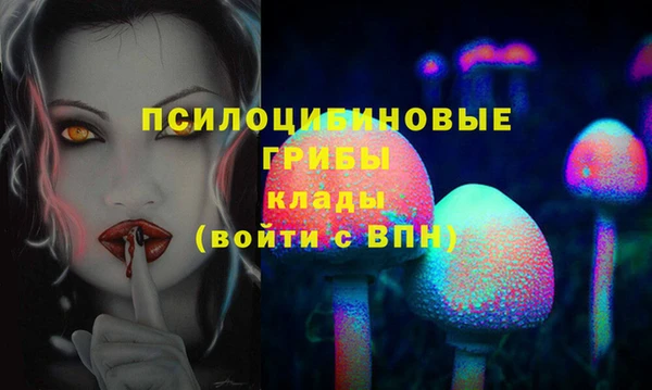 стаф Иннополис