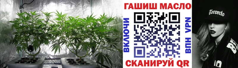 ТГК THC oil  цены   Знаменск 